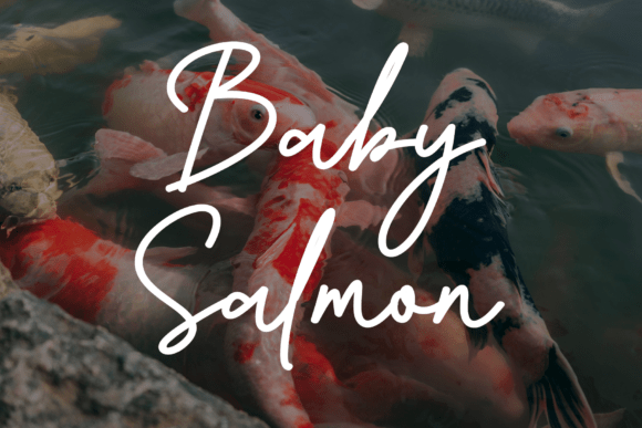 Baby Salmon: A Handwritten Font for Elegant Brands