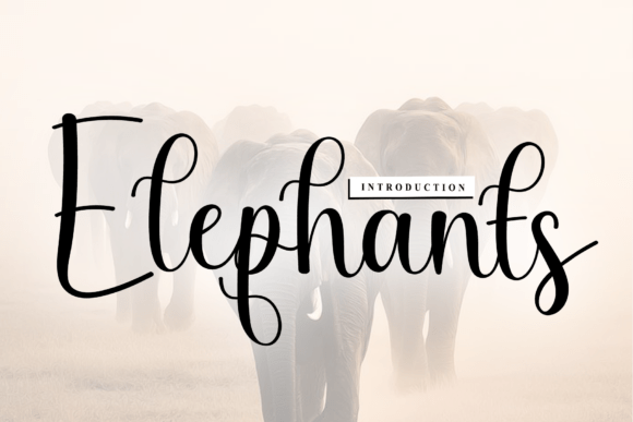 Elephants: A Refined Script Font for Editorial Design