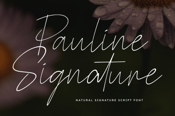 Pauline Signature: A Bold Script Font for Web Design