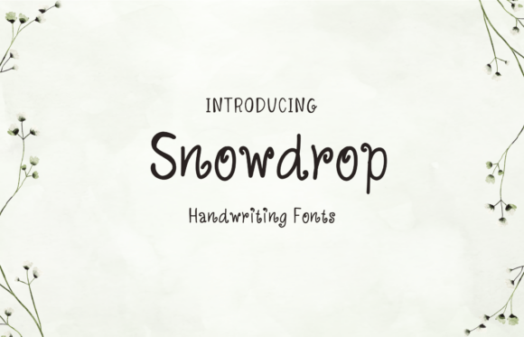 Snowdrop: A Handwritten Font for Clear Campaigns